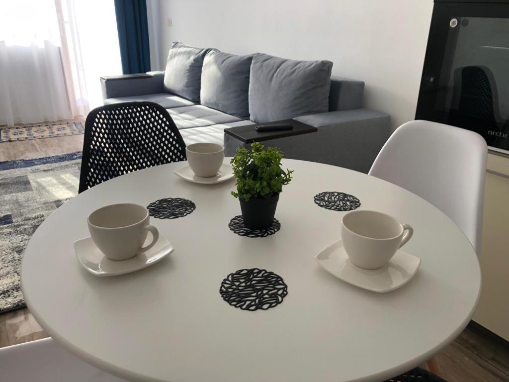 Narcisa Apartment Piatra Neamt Exterior photo